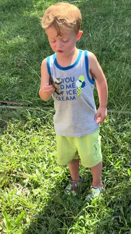 Y’all this child used to be terrified of frogs. I guess you can say he overcame that fear.😅 ##frogs##littleboy##toddlersoftiktok##overcome##OvercomeYourFear