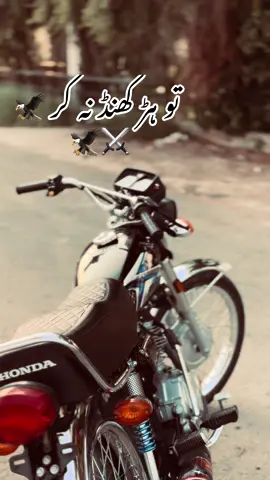 تو ہڑ کنڈ نہ کر 🦅🦅🦅🥷🫀#💪💪🚩🚩🚩🚩🥷⚔️ #☠️☠️☠️❤️‍ 