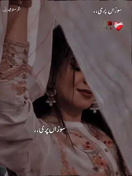 #ویرل #سونگ #لائنز #اردو #سوزاں 
