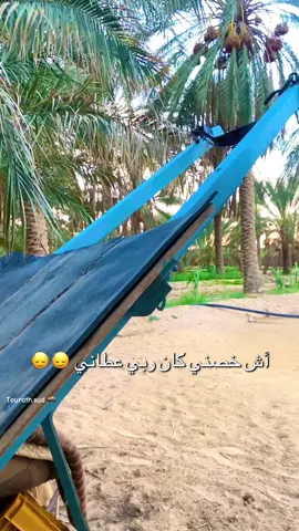 @𝐃𝐨𝐮𝐳 𝐬𝐮𝐝 |تراث المرازيق  الشـــاعر بشير عبد العظيم / أش خص كان ربي عطاني تفرهد زماني 🙂‍↕️🙂‍↕️ #شعراء_وذواقين_الشعر_الشعبي #شعروقصايد #كلام_في_الصميم #شعر #خواطر #دوز_بوابة_الصحراء  #vyral #humor #for 