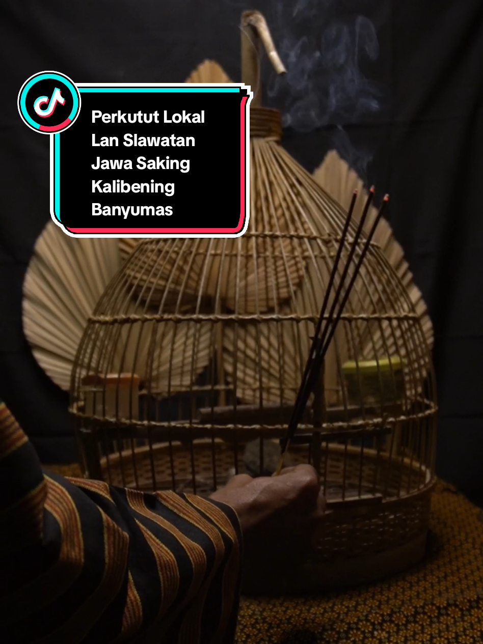 Perkutut Lokal Banyumasan #perkutut #beranda #affiliatemarketing #sholawatjawa #budayajawa 