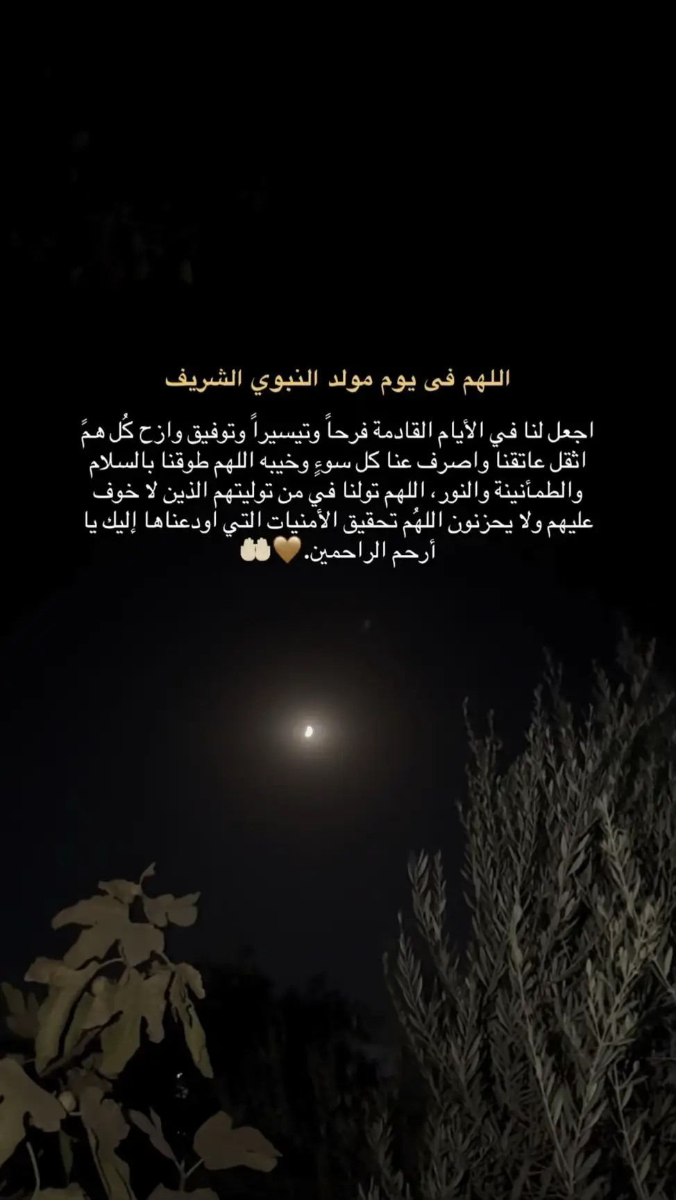 #اللهم_امين #یارب_العالمیــــــــــن🤲🏻🥺  #المولد_النبوي_الشريف #صلوا_على_النبي 🤎