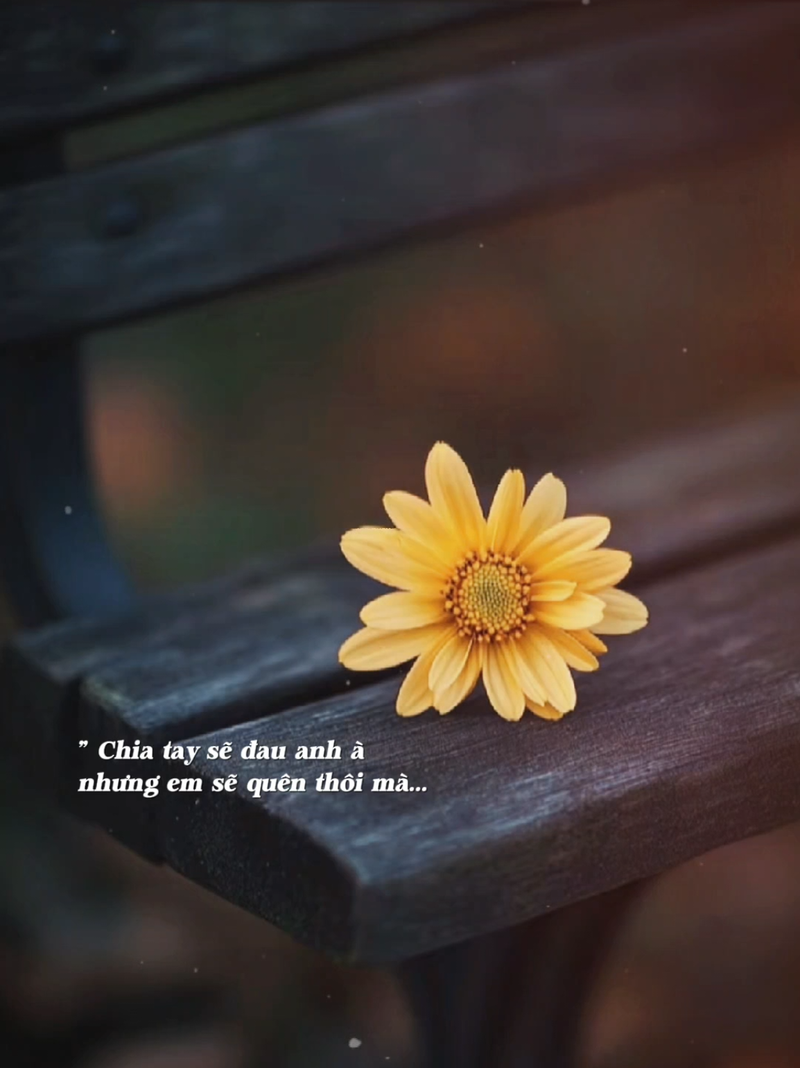 Bên nhau chỉ toàn dối trá Cố chắp vá để rồi rời xa… #emthuanguoitanhieulam #bkmuzic #nhachaymoingay 