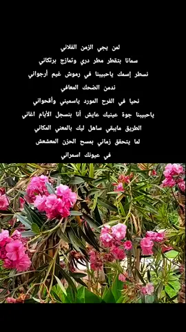 لمن يجي الزمن الفلاني سمانا بتقطر مطر دري وتمازج برتكاني الزمن الفلاني . مصطفي سيد احمد نجاة محمد سعيد #طرب_سوداني #sudanese_music  #أغاني_سودانية #سودانيز_تيك_توك_مشاهير_السودان #creatorsearchinsights @Yasser 