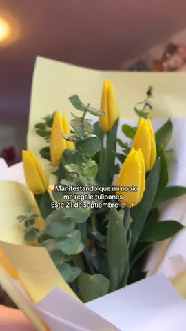 ✨Manifestando 💛💐✨#tulipanes #21deseptiembrefloresamarillas #floresamarillas #21deseptiembre #novios 