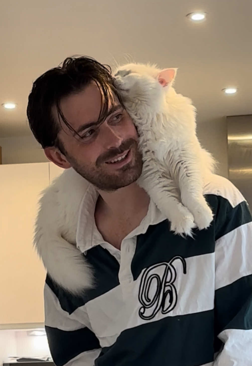 Pancake aggressively taking head nuzzles by force is probably the highlight of our day today 😂❤️ #catsoftiktok #catlover #cute #funnyvideo #catvideo   