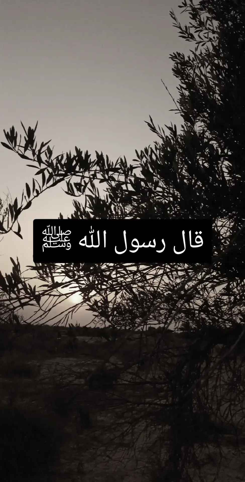 قال رسول الله ﷺ#قال_رسول_الله_عليه_الصلاة_والسلام #اسمع_ماذا_يقول_النبي_صل_الله_عليه_وسلم 
