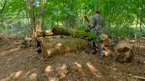 Last Part..... Bushcraft shelter survival camping 🏕️. #bushcraft #survival #wildlife #solo 