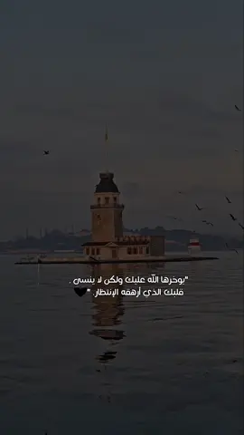 تابعوني على انستغرام diaa1.95  #تصويري_اكسبلور #تصويري_احترافي_الاجواء👌🏻🕊😴 #اقتباسات📝 #اقتباسات_جميله #ستورياتانستا 
