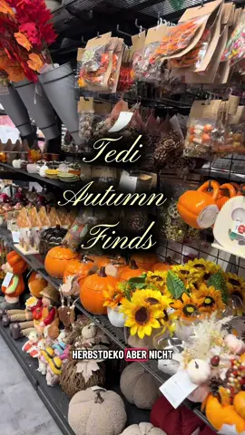 Autumn Finds Tedi 🎃 