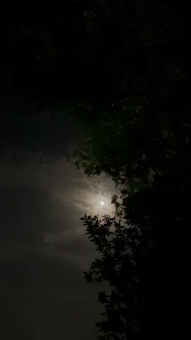 التصوير الليلي بالفديو فخم و رايق 👌🏻🤎! #قصيد #محمد_بن_فطيس 