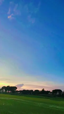 #viralvideo #tiktok 👍👎🥰🥰🥰❤️❤️❤️👎👎👎👍👎👎👎
