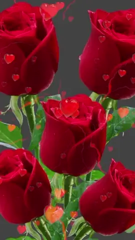 #CapCut 🖤❤️‍🔥🖤🥀🥀
