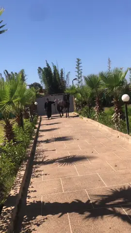 بسم الله ماشاء الله (basha)🤍🎠