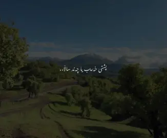 Chan salla♥️|#barzan #foryou #tiktok #active 