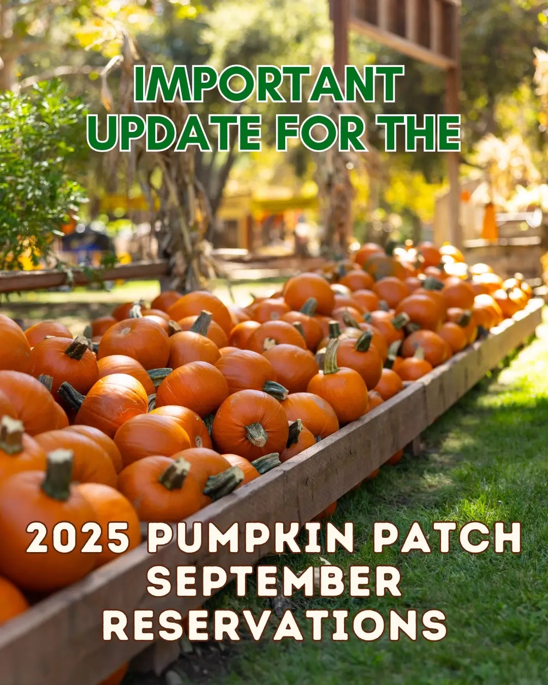 Reservations are no longer required for Pumpkin Patch weekends in September! 🎃 Visit anytime and enjoy all the fun, no time slot needed. See our website for more details.