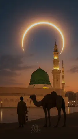 تهلُّ ليلة المولد الشريف، فتحيا القلوب بذكر الحبيب المصطفى ﷺ كل عام وأنتم بخير 🌹 ربيع الأنوار ١٤٤٧📍 #محمد_سيد_الكونين  #مولد_النبوي_الشريف_مبارك #ربيع_الأنوار #fyp #viral 