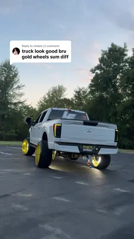 Replying to @ohdats j ILOVE GOLD 🫠 #fyp #showtruck #26x14 #f150 #lifted 