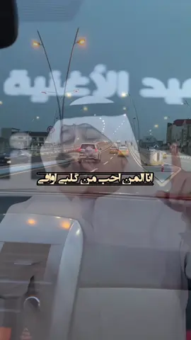 انا المن احب من كلبي اوافي رعد الناصري #رعدالناصري #اغاني #fyp #viral #tiktok 