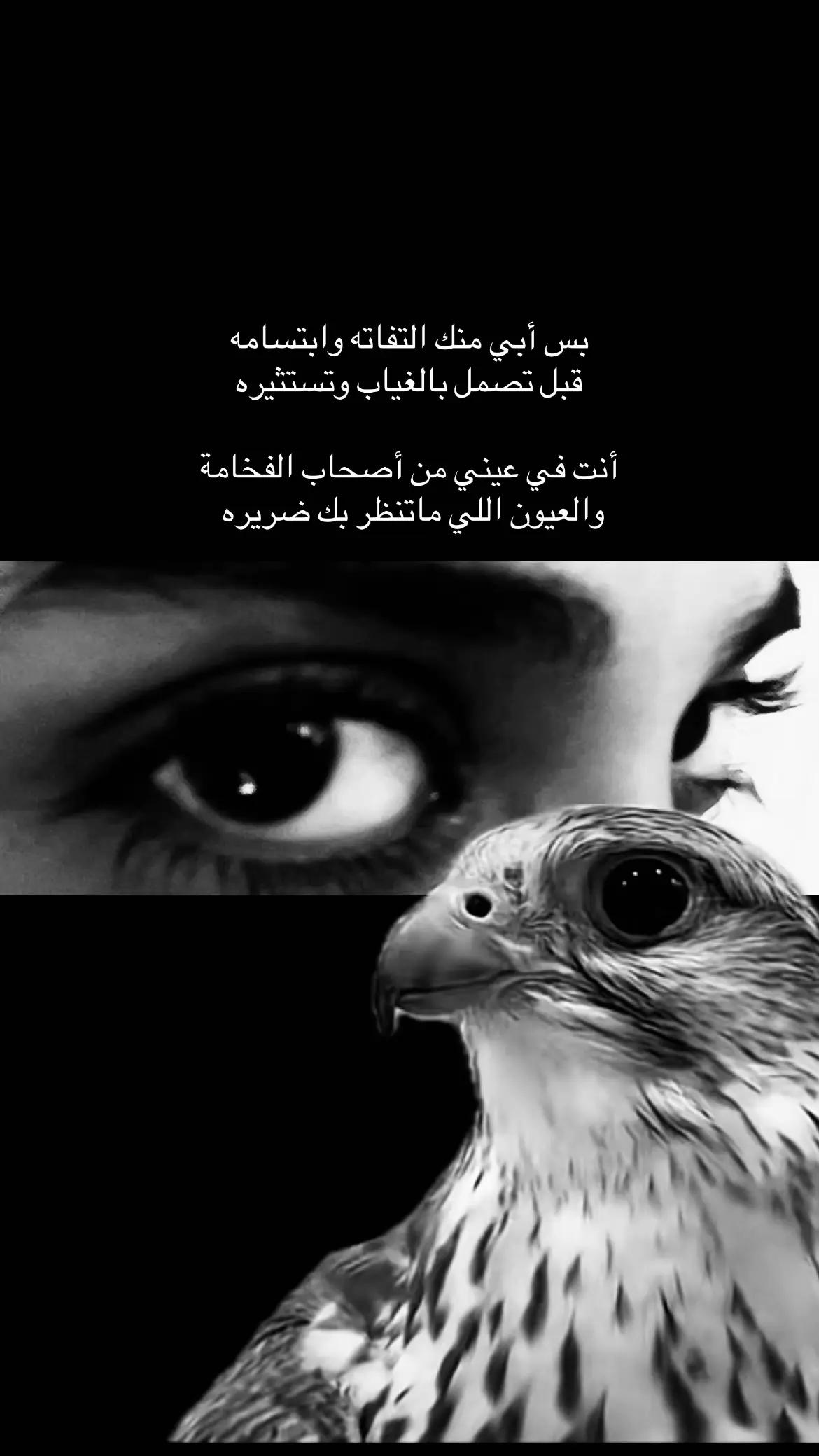 #فلاح_المسردي #fyp #foryou #explore #tiktok 