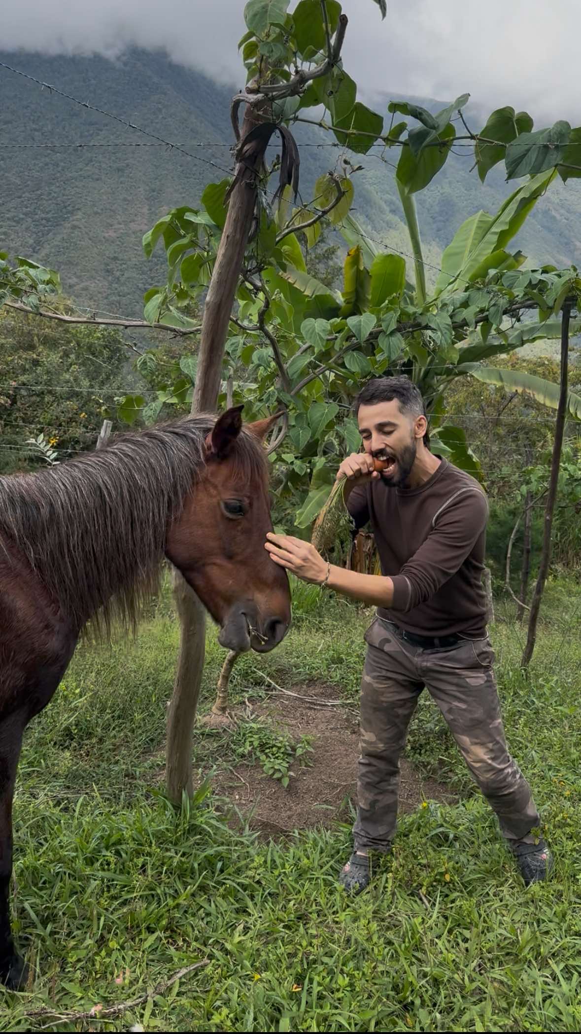 De abogado a campesino🧑🏽‍🌾 #vidaenelcampo #siembraycosecha #vidasostenible #naturaleza 
