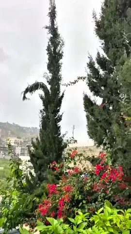 يافعنا الجميله #يافع #يافع_الارض_الطيبه #يافع_الضالع_ردفان_لحج_ابين_شبوه_حضروت #يافعي #يافعيه 