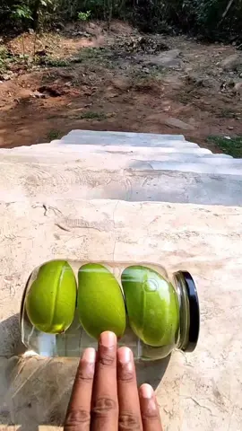 #BottleBreaking   #SatisfyingVideo   #FYP   #GlassSmash   #DestructionASMR      # satisfying  