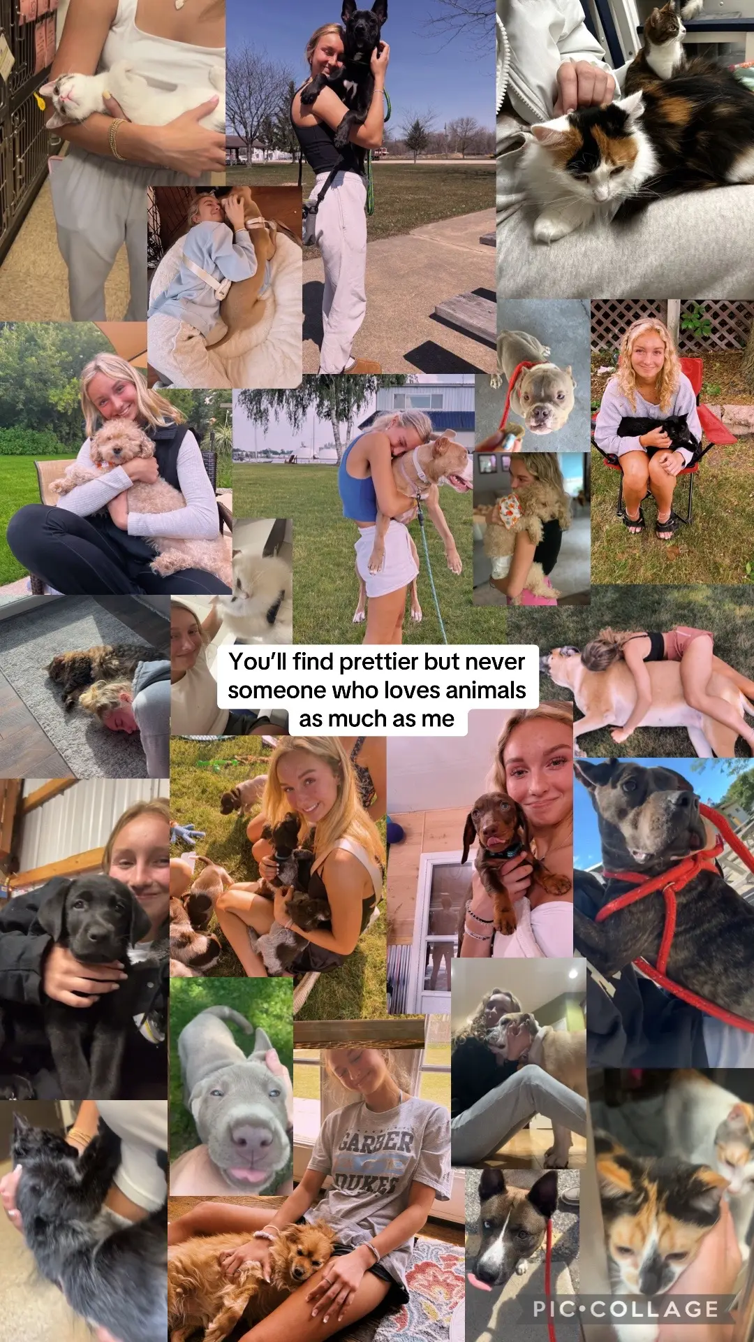 The only way to my heart #animals #fyp #trending #animallover 