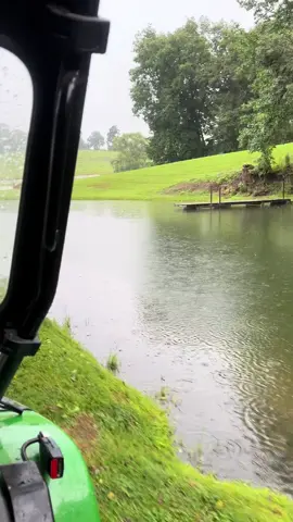 A rainy morning in the life of the Holmestead  #farmlife #agritourism #easttennessee #alpacafarm #asmrsounds 