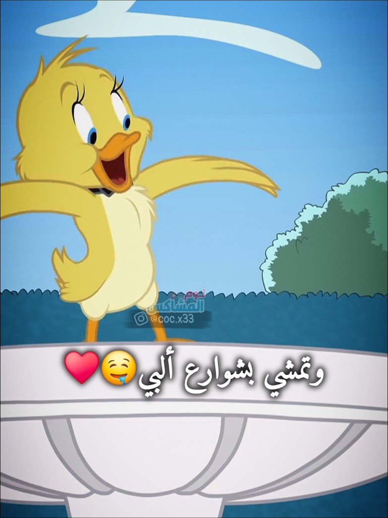 ألبك مليان نسوان وانا ما بحب العجئة😂💔 #حالات_واتس #توم_المشاكس #بطوط #توم_جيري #اكسبلور 