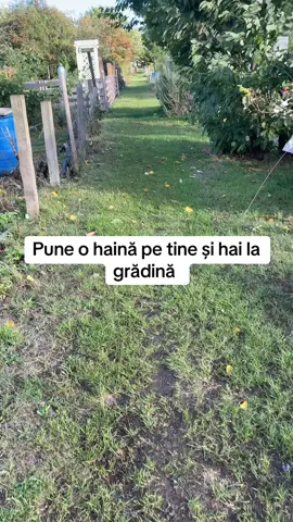 Bunicica si recolta de astazi 😍#gradina #allotment #gradinarit #rosii #ardei 