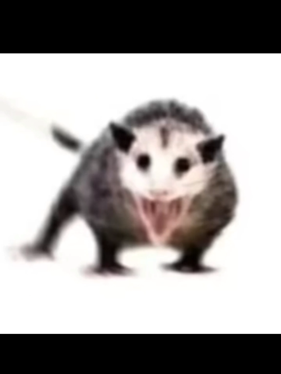 namorada vs AAAAAAAAAAAAAAAAAHHHH