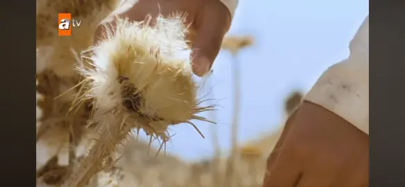 Hangi film yorumlara bekliyorum #namaz #allah#Hzmuhammetsav