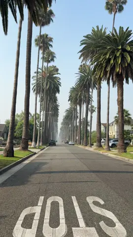 #لوس_انجلوس #losangeles #fyp 