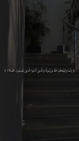 القارى ماهر المعيقلي 🖤✨#quran #fyp #قران #sb3zaid0 