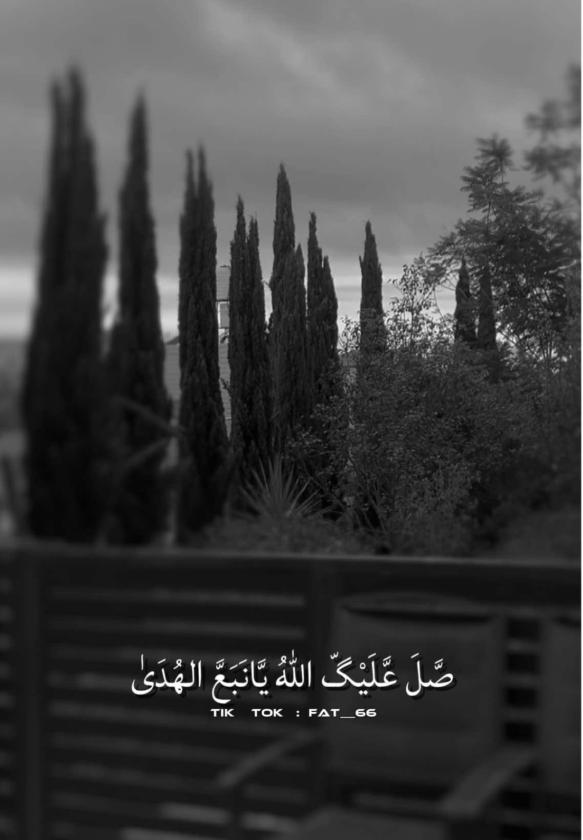 زينوا الدنيا وأعلنوا السرور 🤍،، إنها ليله مولد الرسول 