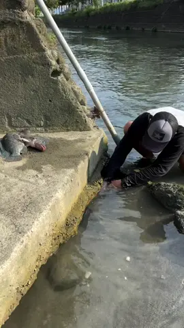 Fishing #bassfishing #rescueanimal #fishingaddict #bassfishing #saltwaterfishing #usafishing #fishingislife 