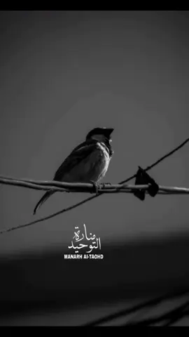 متى تبيعـ/ـون النفِس أما دريتم أن  الـلّٰـه شاࢪي نُفوسَ الصَّادِقينَ!!#ديرية.  _ _ _ _ _ _ _ _ __ _ _ _ _ _ _ _ _ _ _ _ __ _ _ _ _ _ _ _ #مناجاة_التائبين #القران_نور_الحياة_القلوب #اللهم_انك_عفو_تحب_العفو_فاعف_عنا #اللهم_صل_على_نبينا_محمد ፪፪፪፪፪፪፪፪፪፪፪፪፪፪፪፪፪፪፪፪፪፪፪፪፪፪፪፪፪፪፪፪፪፪፪፪፪፪፪፪፪፪፪፪፪፪፪፪፪፪፪፪፪፪፪፪፪፪፪፪፪፪፪፪፪፪፪፪፪፪፪፪፪፪፪፪፪፪፪፪፪፪፪፪፪፪፪፪፪፪፪፪፪፪፪፪፪፪፪፪፪፪፪፪፪፪፪፪፪፪፪፪፪፪፪፪፪፪፪፪፪፪፪፪፪፪፪፪፪፪፪፪፪፪፪፪፪፪፪፪፪፪፪፪፪፪፪፪፪፪፪፪፪፪፪፪፪፪፪፪፪፪፪፪፪፪፪፪፪፪፪፪፪፪፪፪፪፪፪፪፪፪፪፪፪፪፪፪፪፪፪፪፪፪፪፪፪፪፪፪፪፪፪፪፪፪፪፪፪፪፪፪፪፪፪፪፪፪፪፪፪፪፪፪፪፪፪፪፪፪፪፪፪፪፪፪፪፪፪፪፪፪፪፪፪፪፪፪፪፪፪፪፪፪፪፪፪፪፪፪፪፪፪፪፪፪፪፪፪፪፪፪፪፪፪፪፪፪፪፪፪፪፪፪፪፪፪፪፪፪፪፪፪፪፪፪፪፪፪፪፪፪፪፪፪፪፪፪፪፪፪፪፪፪፪፪፪፪፪፪፪፪፪፪፪፪፪፪፪፪፪፪፪፪፪፪፪፪፪፪፪፪፪፪፪፪፪፪፪፪፪፪፪፪፪፪፪፪፪፪፪፪፪፪፪፪፪፪፪፪፪፪፪፪፪፪፪፪፪፪፪፪፪፪፪፪፪፪፪፪፪፪፪፪፪፪፪፪፪፪፪፪፪፪፪፪፪፪፪፪፪፪፪፪፪፪፪፪፪፪፪፪፪፪፪፪፪፪፪፪፪፪፪፪፪፪፪፪፪፪፪፪፪፪፪፪፪፪፪፪፪፪፪፪፪፪፪፪፪፪፪፪፪፪፪፪፪፪፪፪፪፪፪፪፪፪፪፪፪፪፪፪፪፪፪፪፪፪፪፪፪፪፪፪፪፪፪፪፪፪፪፪፪፪፪፪፪፪፪፪፪፪፪፪፪፪፪፪፪፪፪፪፪፪፪፪፪፪፪፪፪፪፪፪፪፪፪፪፪፪፪፪፪፪፪፪፪፪፪፪፪፪፪፪፪፪፪፪፪፪፪፪፪፪፪፪፪፪፪፪፪፪፪፪፪፪፪፪፪፪፪፪፪፪፪፪፪፪፪፪፪፪፪፪፪፪፪፪፪፪፪፪፪፪፪፪፪፪፪፪፪፪፪፪፪፪፪፪፪፪፪፪፪፪፪፪፪፪፪፪፪፪፪፪፪፪፪፪፪፪፪፪፪፪፪፪፪፪፪፪፪፪፪፪፪፪፪፪፪፪፪፪፪፪፪፪፪፪፪፪፪፪፪፪፪፪፪፪፪፪፪፪፪፪፪፪፪፪፪፪፪፪፪፪፪፪፪፪፪፪፪፪፪፪፪፪፪፪፪፪፪፪፪፪፪፪፪፪፪፪፪፪፪፪፪፪፪፪፪፪፪፪፪፪፪፪፪፪፪፪፪፪፪፪፪፪፪፪፪፪፪፪፪፪፪፪፪፪፪፪፪፪፪፪፪፪፪፪፪፪፪፪፪፪፪፪፪፪፪፪፪፪፪፪፪፪፪፪፪፪፪፪፪፪፪፪፪፪፪፪፪፪፪፪፪፪፪፪፪፪፪፪፪፪፪፪፪፪፪