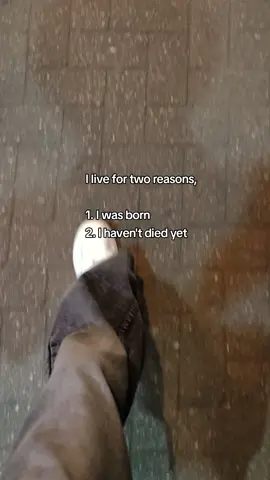 follow me if u can relate 😂  #foryou #fyp #funnyvideos #funnyquotes #trendingsong 