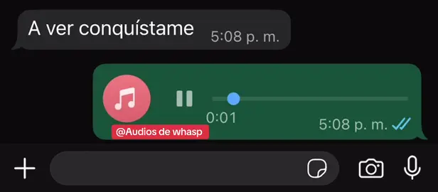 Yo conquistando 😭🤣🤣#audiosdewhatsapp #viraltiktok #audio #viral #conquistan