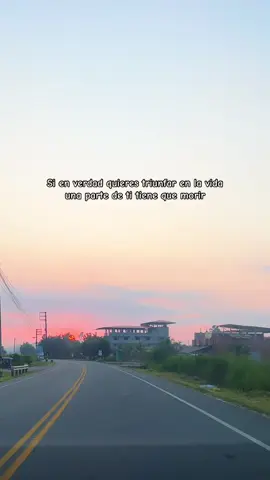 #paratii 🦉🛞🎵🖤