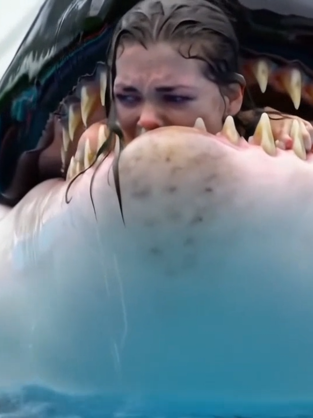 Jessica orca Original video Viral Video viral content #dolphins #orca #jessica #uk 