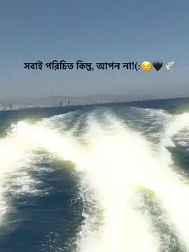 - সবাই পরিচিত কিন্তু, আপন না!(:😌🖤🕊️#_humaira_567 #foryou #foryoupage #unfrezzmyaccount 