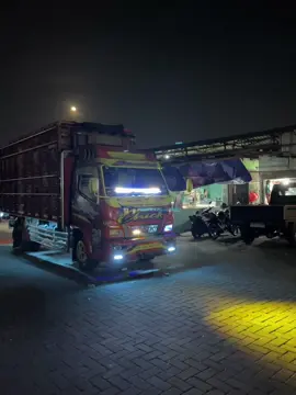 Yaampun #fyppppppppppppppppppppppp #storytruk #broilerchicken #cantermaniaindonesia 