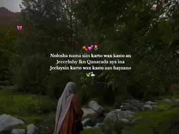 fact 🍂🧡