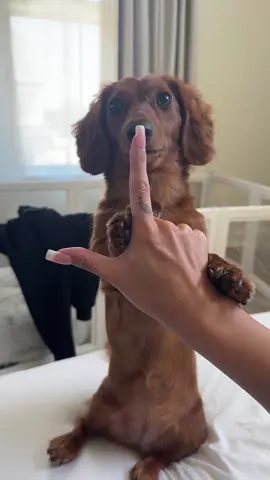 she was using me as a balance