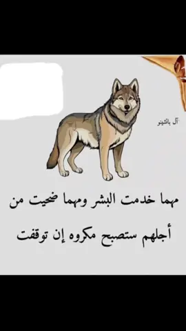 ####