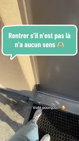 Rentrer s’il n’est pas là, n’a aucun sens, 🥰 #dogsoftiktok #cute #doghome #viral