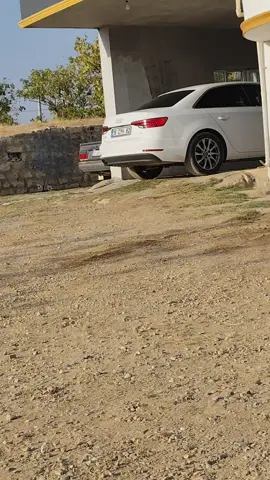 HERŞEY SAHNESİNDE GÜZEL #keşfet #audi #a4 #keşfetbeniöneçıkar #keşfetteyizzz @MUHAMMED☀️ 