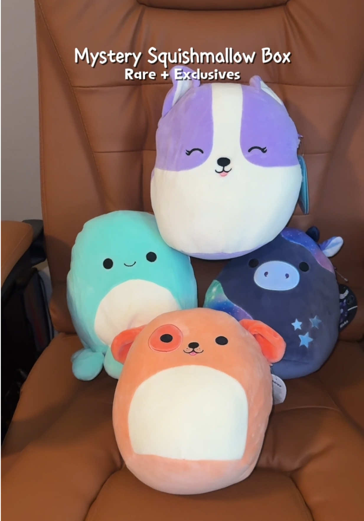 @Jazwares mystery Squishmallows 🤩 this shop has TikTok exclusives! #squishmallow #squishmallowcollection #mysterybox #christmasgiftideas #kidsgifts 